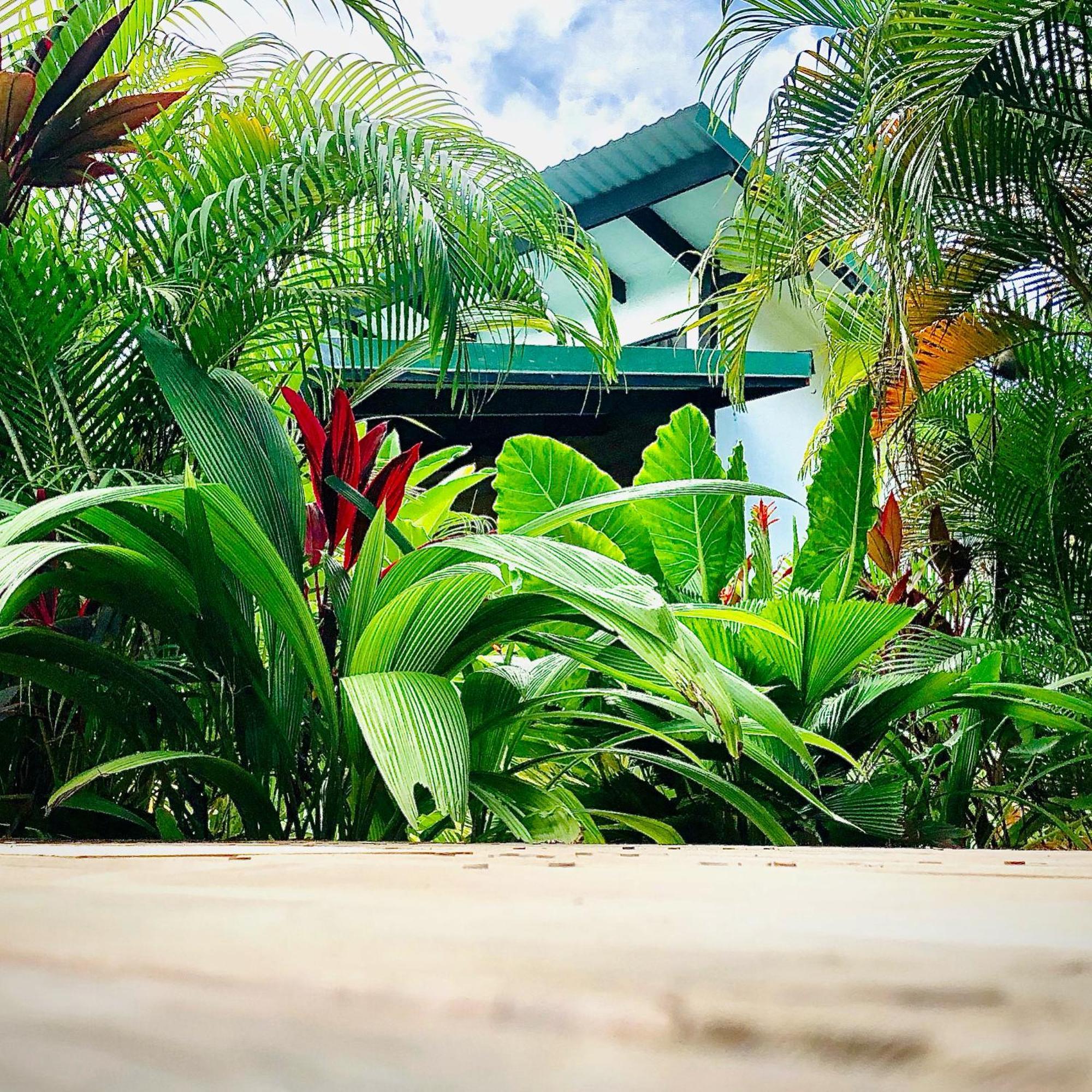 Santeria Lodge Playa Santa Teresa  Экстерьер фото