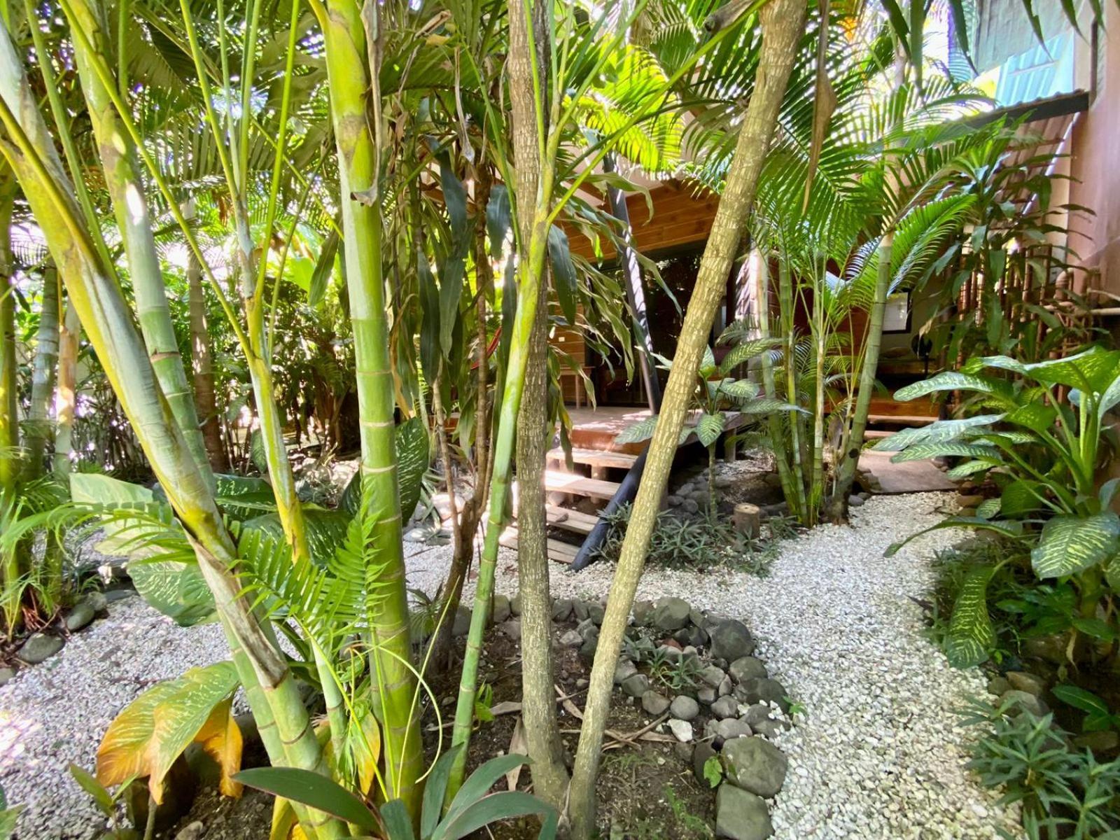 Santeria Lodge Playa Santa Teresa  Экстерьер фото
