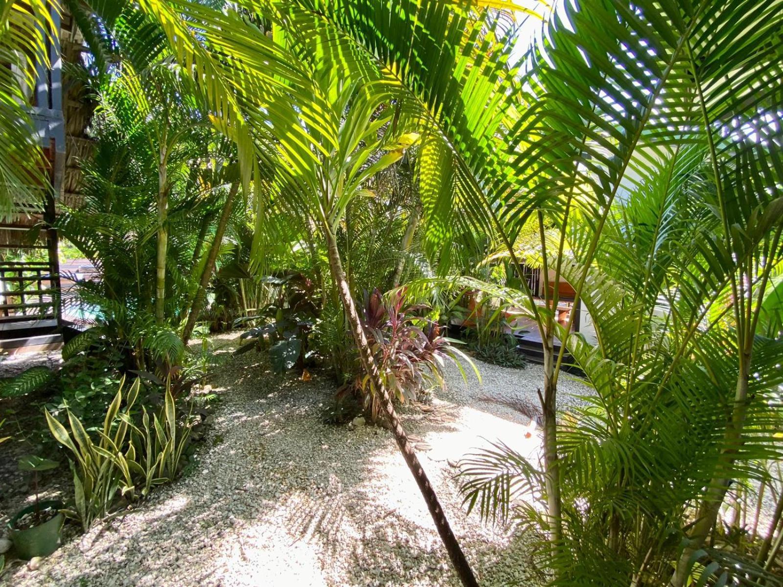 Santeria Lodge Playa Santa Teresa  Экстерьер фото