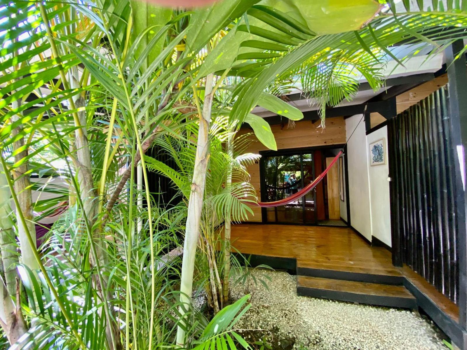 Santeria Lodge Playa Santa Teresa  Экстерьер фото