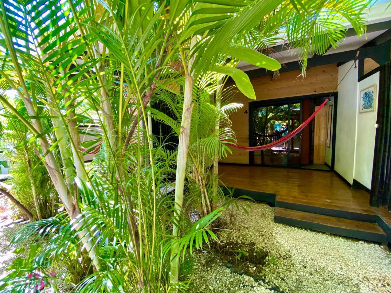 Santeria Lodge Playa Santa Teresa  Экстерьер фото