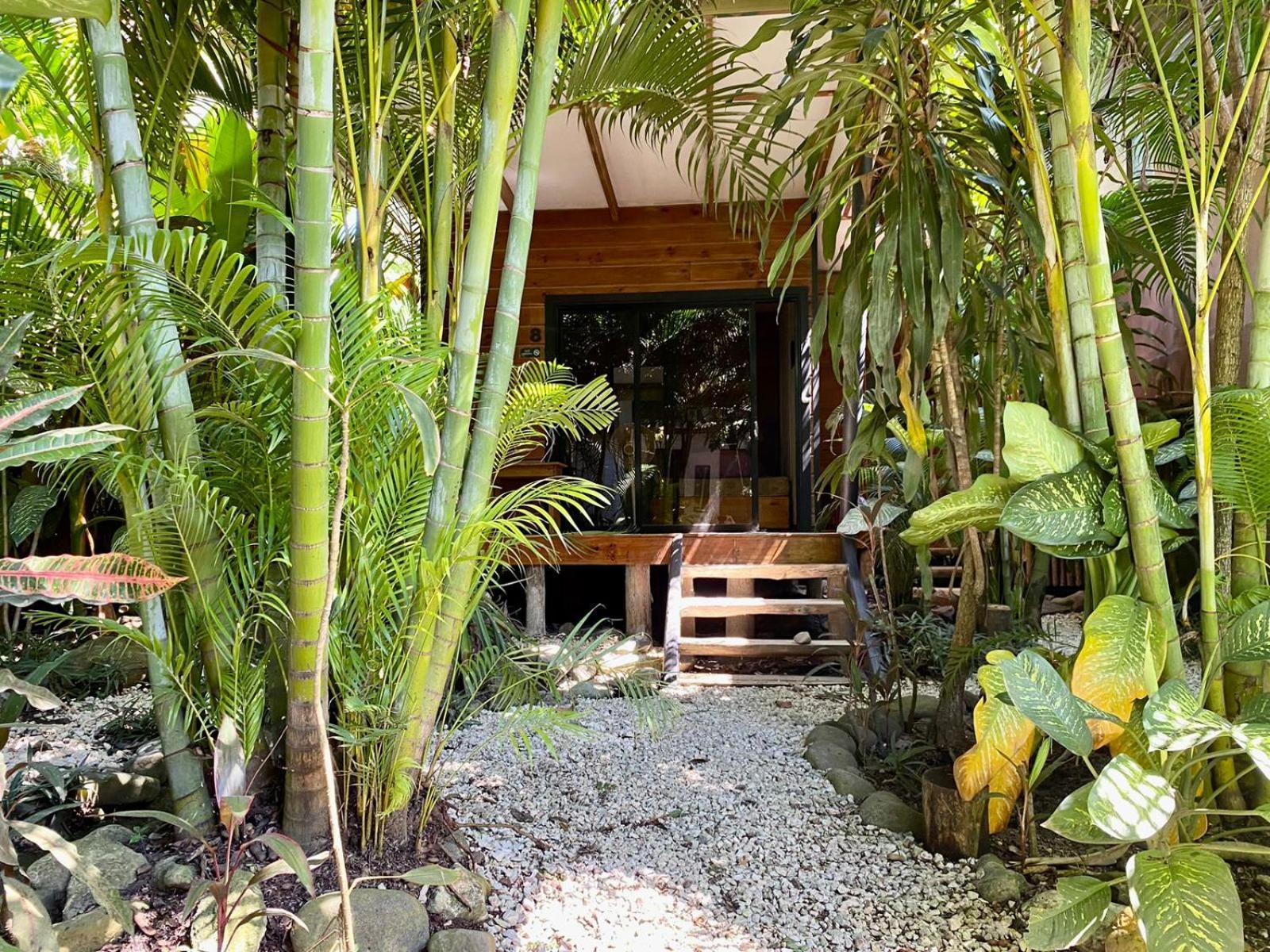 Santeria Lodge Playa Santa Teresa  Экстерьер фото